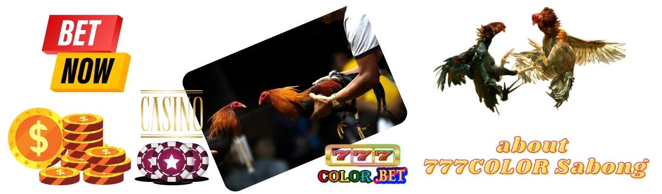 About 777COLOR Sabong betting