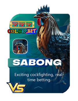 sabong-777color-bet